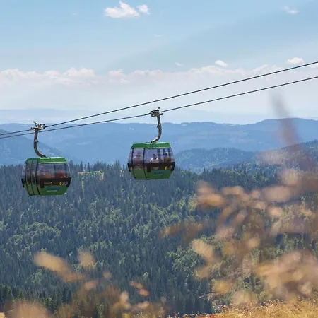 Forsters Schwarzwald Hof - Resort-hotel&pension 4* Feldberg