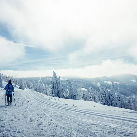 Forsters Schwarzwald Hof - Resort-hotel&pension 4* 费尔德伯格