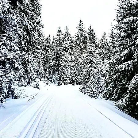 Forsters Schwarzwald Hof - Resort-hotel&pension Hotel Feldberg (Baden-Wurttemberg)