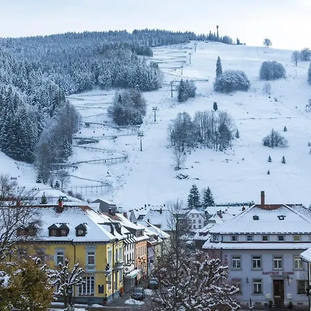 酒店 Forsters Schwarzwald Hof - Resort-hotel&pension 费尔德伯格