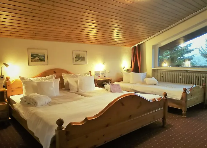 Forsters Schwarzwald Hof - Resort-hotel&pension Hotel Feldberg (Baden-Wurttemberg)